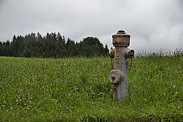 Bernhard Saalfeld - DSC01148 -1